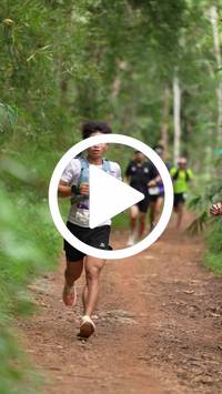 BIB:  <button type="button" onclick="openModal(26800437)" class="btn btn-primary btn-sm float-right" data-toggle="modal" data-target=".modal-high-quality">
                <i class="fa fa-download"></i> Download
                </button>